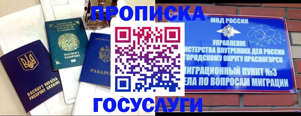 купить прописку в Михайловке